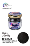 PEARL-SOLID METALLIC PIGMENT / BLACK SILVER / 10 grams 